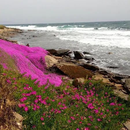Les Pieds Dans L Eau *