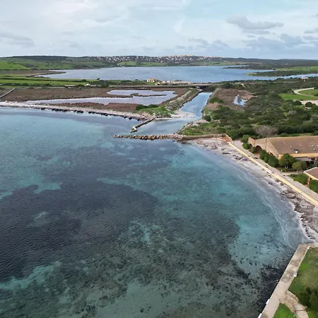 Les Pieds Dans L Eau