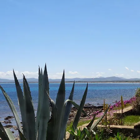 Les Pieds Dans L Eau * Stintino