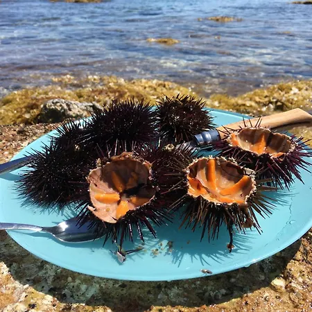 Les Pieds Dans L Eau