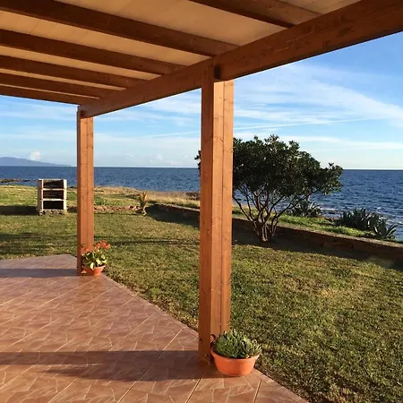 Les Pieds Dans L Eau *