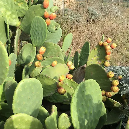 Les Pieds Dans L Eau Casa vacanze Stintino