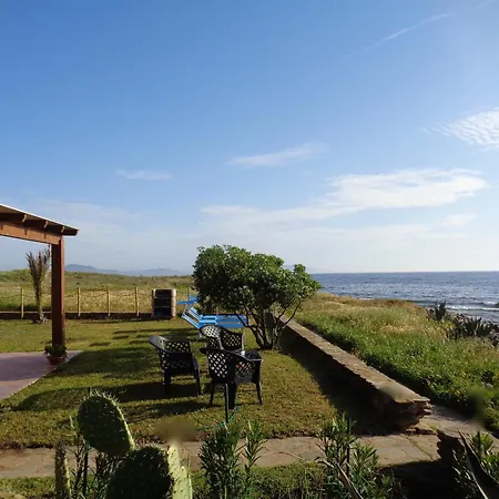 Les Pieds Dans L Eau *